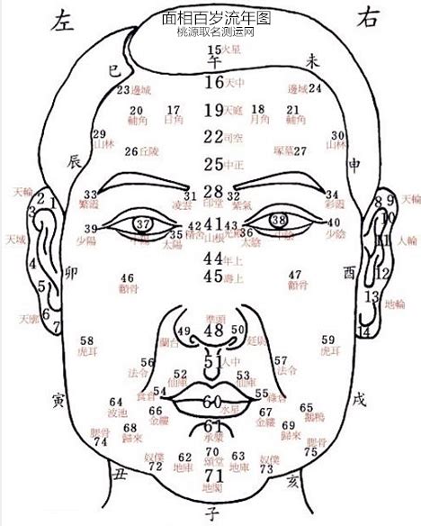 面相歲數|【面相歲數】驚！你的臉型竟透露了你的歲數！